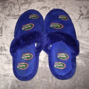 Florida Gator Slippers